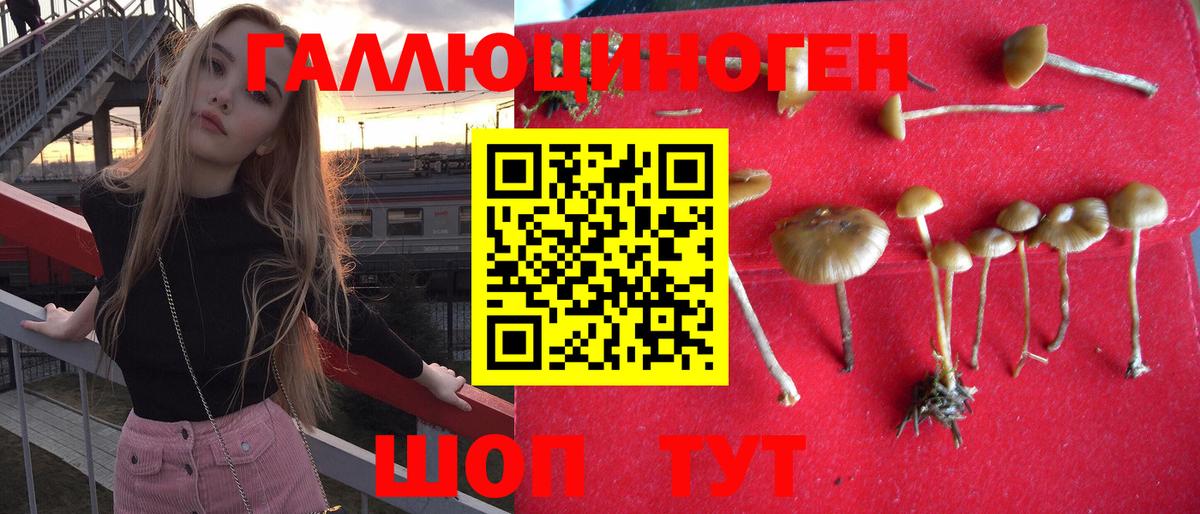 Сосновоборск  Псилоцибиновые грибы ЛСД  Вход с VPN 